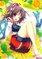 【舰队Collection~舰娘~】A4文件夹瑞凤(可爱玛里亚)C88/魔理亜罐装