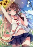 [Original] A4 Clear File (Miwabe Sakura) The Fourth Original Daidonin Matsuri / Melon Books