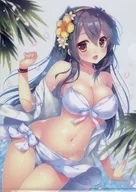 [Kantai Collection ~ Kan Colle ~] A4 clear file Haruna C96 / Shigyanyan