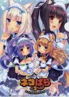 [Original] A4 plastic trasparent file folder Maple, Cinnamon, Vanilla and Chocolate (Sayori) Guchuya Specials / NEKO WORKs