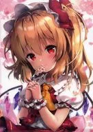 [Proyecto Project 】 A4 clear file sakura ver Frandol Scarlet (Riichu) / eterna radiare