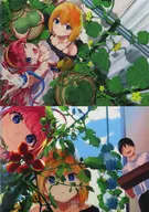 【オリジナル】クリアファイルセット Aセット(夢乃狸) 夢乃狸展/brilliant thunder＆とらのあな