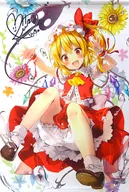 【 Toho Project 】 B2 Tapestry Fran d'or Scarlett (Riichu) 2016.10/com Planning