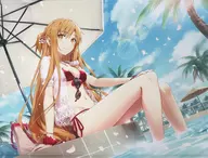 [SWORD ART ONLINE] B1 Horizontal W Suede Tapestry SwimSuit Ver Asna (Gamiran) C99 / Debuneko