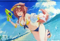 B2W Suede Tapices (aleta de tiburón) C100/RUINON