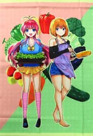 【オリジナル】組み立て式B2タペストリー 絵柄A(夢乃狸) 夢乃狸展/brilliant thunder＆とらのあな