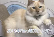 【オリジナル】2019年Ruru君カレンダー(Lily) C95/QUAINT DOLL