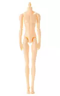 Men's Body for 1/6 PW-28BODY "One Sixth Men's Picture Book"