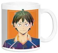 山口忠 Ani-Art 第4弾 マグカップ 「ハイキュー!! TO THE TOP」