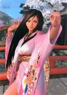 Kokoro shitajiki "DEAD OR ARIVE 4" Fami-dori Xbox360 November 2005 Supplement