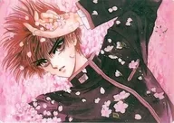 Shirō Kamoi (flor de cerezo) shitajiki "X-X-"