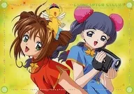 樱花&知世垫板