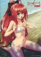 コーティカルテ Clear Shishiki "PC Soft Shinkyoku Sokai Polifonica Plus" Rochuya Privilege
