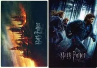 Harry & Ron & Hermione B5, "Harry Potter y las Reliquias de la Muerte".
