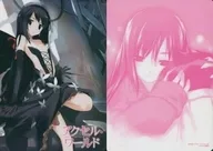 Black Snow Princess (Starry Shadow Floating Bridge), B5 Understanding "Accel World", Dengeki Bunko, Media Jack! Fair Goods