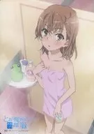 Misaka Bikin 10 th Anniversary Story Shimoshiki 1 "To Aru Majutsu no Index"