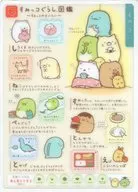 角落小夥伴圖鑒B5清底鋪墊