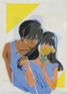 紫苑A4文件夾