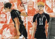 [A la Carte] Yamaguchi & Tsukishima A5 Clear File 2-Pack Set "Haikyu! Combi Set" Jump Festa 2019 Goods