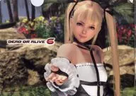 Marie Rose & Honoka A4 plastic trasparent file folder "PS4 Soft DEAD OR ALIVE 6" GAMECITY Online Shopping Purchase benefits