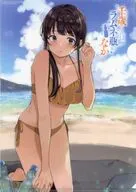 七瀨悠月A4新插圖&新寫SS文件夾Melonbooks聯動購入特典