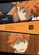 日向翔陽 場面写クリアファイル(A4) 「ハイキュー!! TO THE TOP」