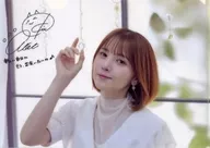 A4 plastic trasparent file folder "Akari Kito Luminous" Gamers Purchase benefits with Signature & Comment