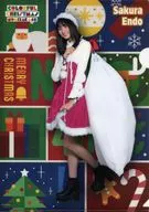 遠藤櫻A4文件夾乃木坂46 Mobile『多彩聖誕節』活動A獎