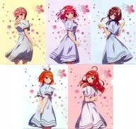 集合A4 Clear File SET