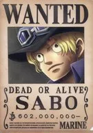 Sabot A4 Order plastic trasparent file folder "ONE PIECE"