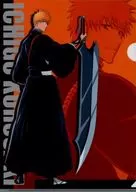 KUROSAKI de Ichigo "BLEACH-BLEACH - 1000 anos de luta sangrenta, A4 Clear File"