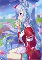 "Umamusume Pretty Derby", A4 Clear File Vol. 9.