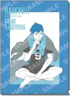 B. Kageyama Tobio A4 plastic trasparent file folder "Haikyu!"