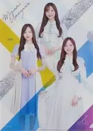 [A la carte] Minami Umezawa Campanha de Grande Apreciação, Original A4 Clear File, "Nogizaka46 2022 Campanha de Grande Apreciação, Re : Member Pack"