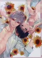 Comic Volume 4 Cover A4 plastic trasparent file folder "DMM Scratch! Seven Stars of June" D-6 Award