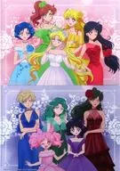 Conjunto Flor Dress Series (Flower Dress Series) A4 Clear File Set (2 Set) "Sailor Moon"