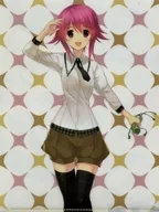 莉架 ONOUE / Sumo Wrestler Seal A4 plastic trasparent file folder "CHAOS : CHILD" Wolf Type Marugoto MAGES Magazine Separate Appendix