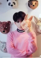 リョウク(SUPER JUNIOR)正面/お面 A4クリアファイル 「The Little Prince」