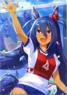 ヒシアマゾン(テッペンに立て!) A4クリアファイル vol.11 「ウマ娘 プリティーダービー」