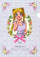 Sailor Moon A4 clear file "Rabbit & Chibiusa"