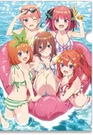 Design 11. Assembly A4 plastic trasparent file folder "The Quintessential Quintuplets ∽」"