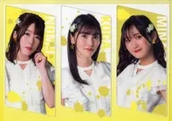 [A la Carte] Kanako Nomura, Aoi Koga and Saki Minami A4 plastic trasparent file folder "Nomukogaminami de Ponpokopon KUJI" C Prize