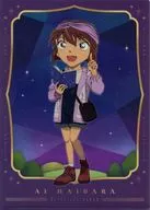 Ai Haibara A4 Single Clear File Astronomical Observation "CASE CLOSED Fair - Astronomical Observation Series - in Animate"