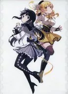 晓美Homura&巴麻美(封面插图)A4文件夹Melonbooks购入特典