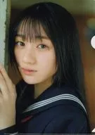 Kawasaki Sakura (Nogizaka46) B5 Special Clear File "Weekly Young Jump 4 and 5 Merger Issue in 2023" Seven Net Purchase Privilege