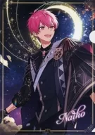 Nonko隨機A4文件夾第7彈(星星落下的FAIRY TAIL)"REISSU One Man Live in日本武道館>