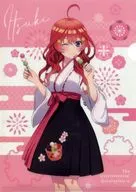 中野五月A4文件夹