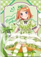 Nakano Yotsuba (Parfait dress ver.) A4 plastic trasparent file folder "The Quintessential Quintuplets ∽」"