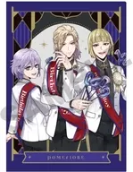 Pomefiore (Fancy Birthday) A4 single clear file "Disney Twisted Wonderland"