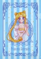 Princess Serenity A4文件夹Sailor Moonstore限定